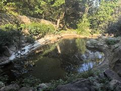 -北京西山国家森林公园