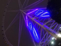 -锦江乐园舞狸花花游园会(夜场专享)