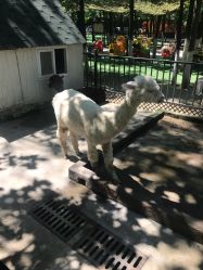 -蓝可可亲子乐园(北苑店)