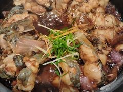 -金龙寨(龙城路店)