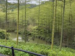 -莫干山风景区