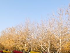 -中国工商银行(北京北七家支行)