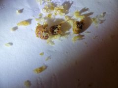 -璞禅足道(观音桥旗舰店)