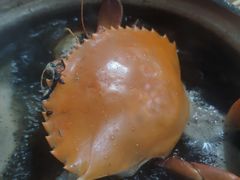 -老财炒饭·熟地蟹·冬瓜蟹