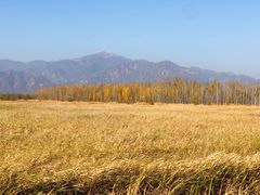 -野鸭湖国家湿地公园