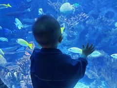 -多彩贵州城极地海洋世界