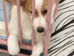 -白夜2D咖啡馆