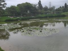 -深圳仙湖植物园