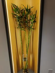 -FineYoga梵音瑜伽·普拉提