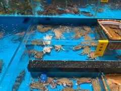 -瓯菜排档·温州海鲜(玕南店)