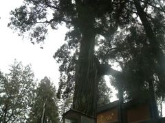 -保定直隶总督署博物馆