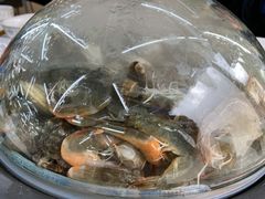 -海岸风情蒸汽海鲜自助餐厅(家宴金手勺店)