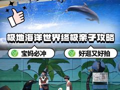 -石家庄极地海洋世界