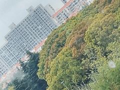-黄兴公园