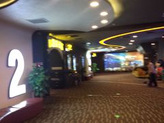 -万达影城(潍坊万达广场IMAX店)