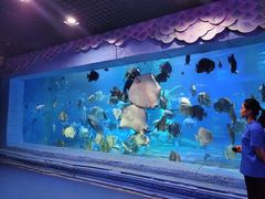 -梦幻海洋王国(吾悦广场张家港店)