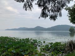 -东湖落雁景区