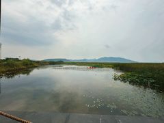 -苏州太湖国家湿地公园