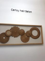 -THE LOG SALON 记录