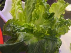 -虾乐园龙虾·夜宵(松江店)