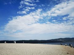 -阳宗海湿地