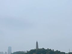 -顺峰山公园