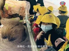 -杨梅红艺术教育(西安高新唐延教学中心)