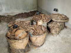 -大象粑粑造纸公园