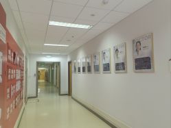 -北京爱育华医院-医疗美容科