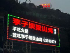 -李子坝梁山鸡(李子坝大鸡哥店)