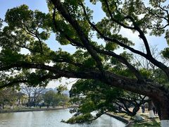 -江心屿景区
