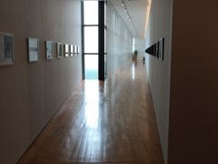 -石排湾郊野公园