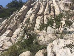 -仙海旅游度假区