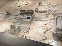 -洛阳周王城天子驾六博物馆