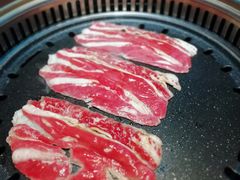 -杨记齐齐哈尔烤肉(总店)
