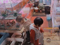 -犀浦夜市第一家麻辣烫