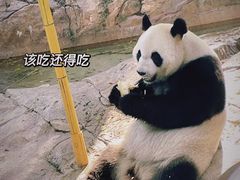 -柳州市动物园