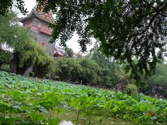 -四川大学(华西校区)