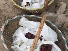 -马陆小张葡萄园农家乐