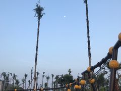 -枫香湖儿童公园