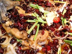 -老板恋上鱼(振华商厦店)
