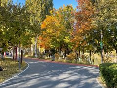 -大兴滨河森林公园