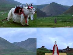-日月山景区
