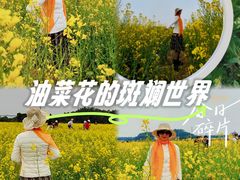-长洲岛