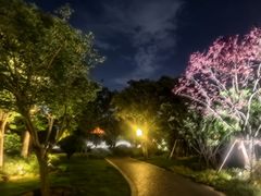 -咸阳湖景区-古渡公园