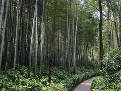 -南京东郊国宾馆