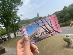 -牛首山文化旅游区