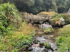 -夏霖九天银瀑风景区