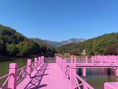 -田野绿世界