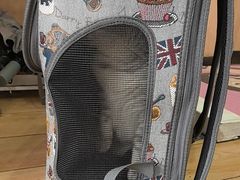 -瑞派·关忠动物医院猫科外科·异宠·24小时转诊中心(祥云店)